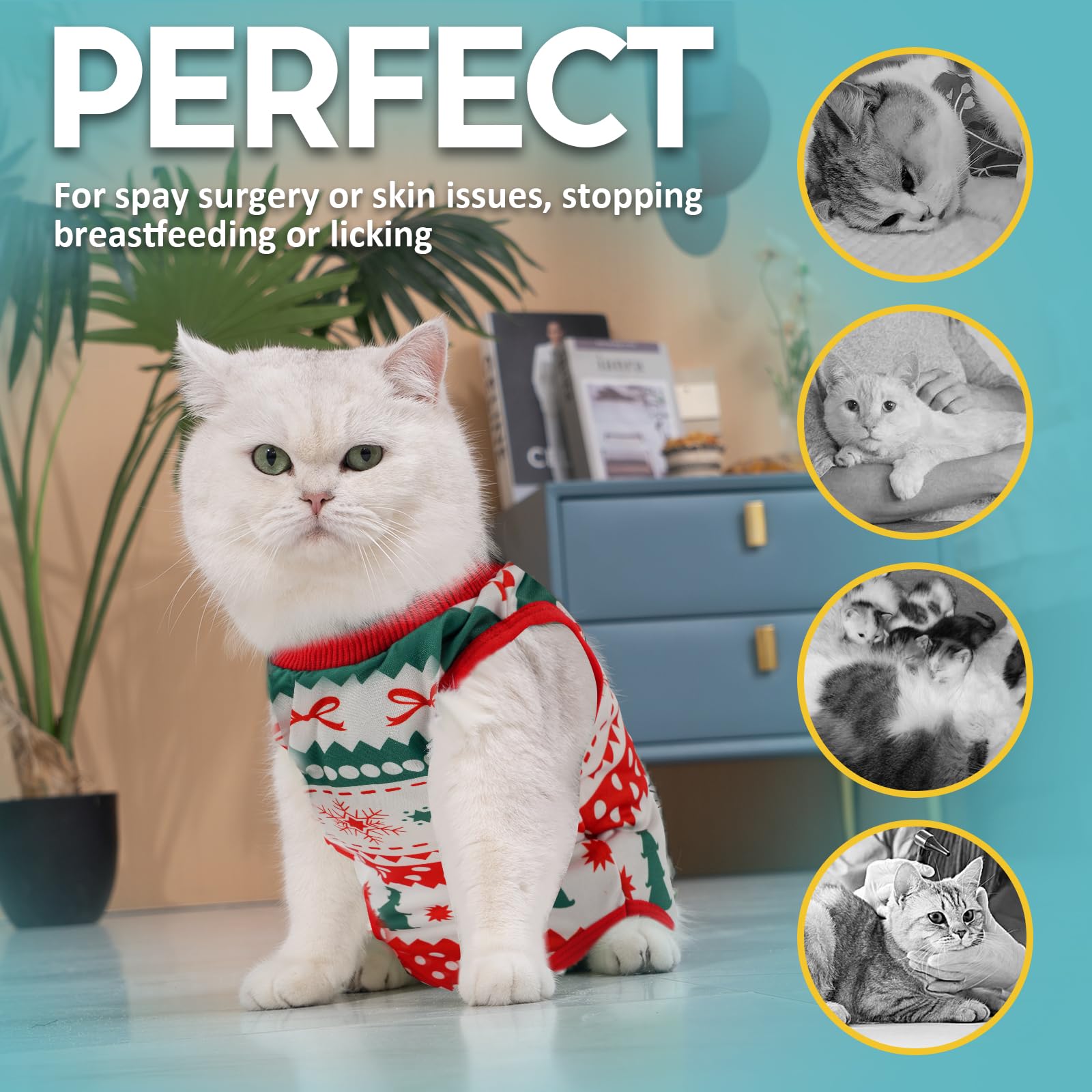 Xmas Cat Outfit - Image 4