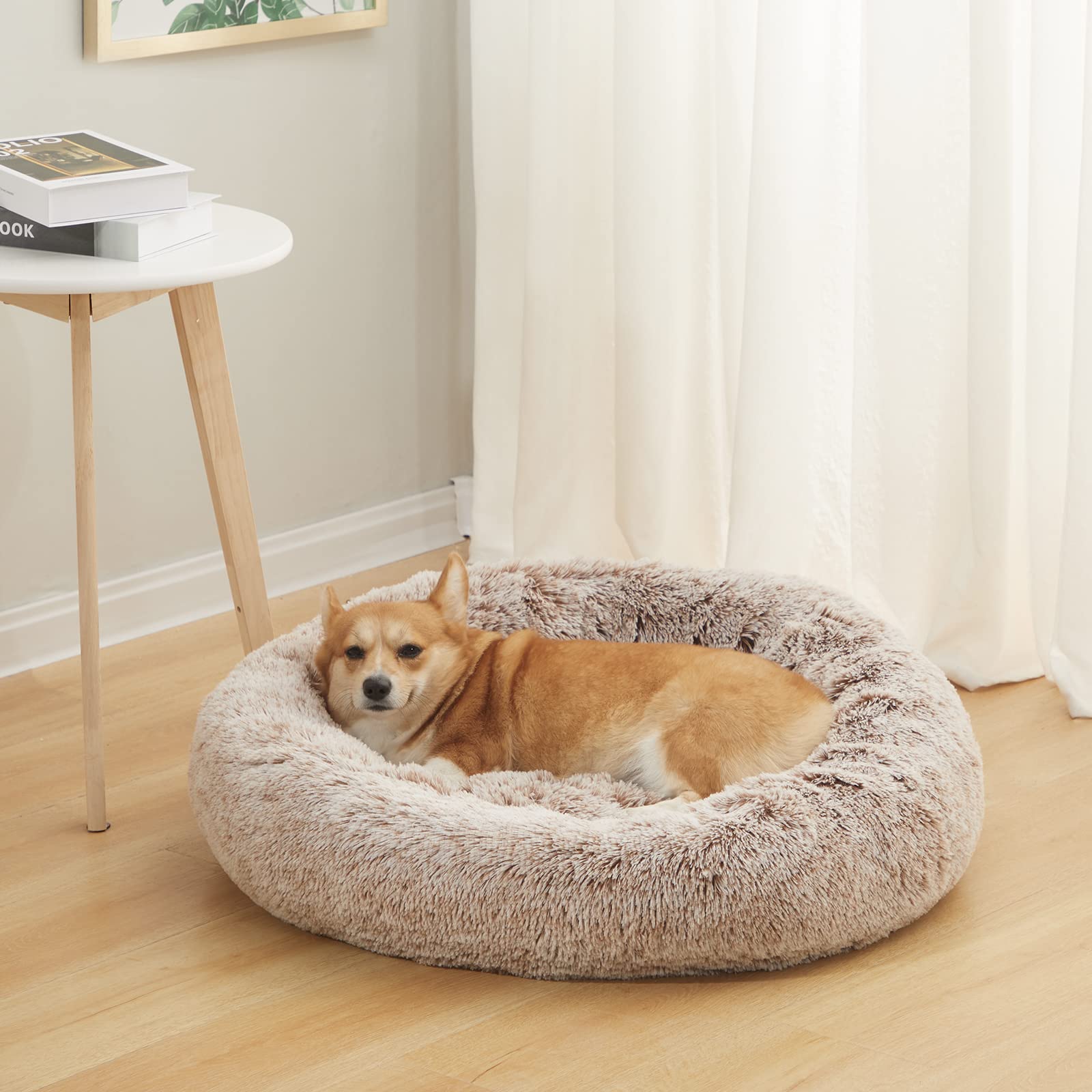 Washable Dog Cushion Bed - Image 2