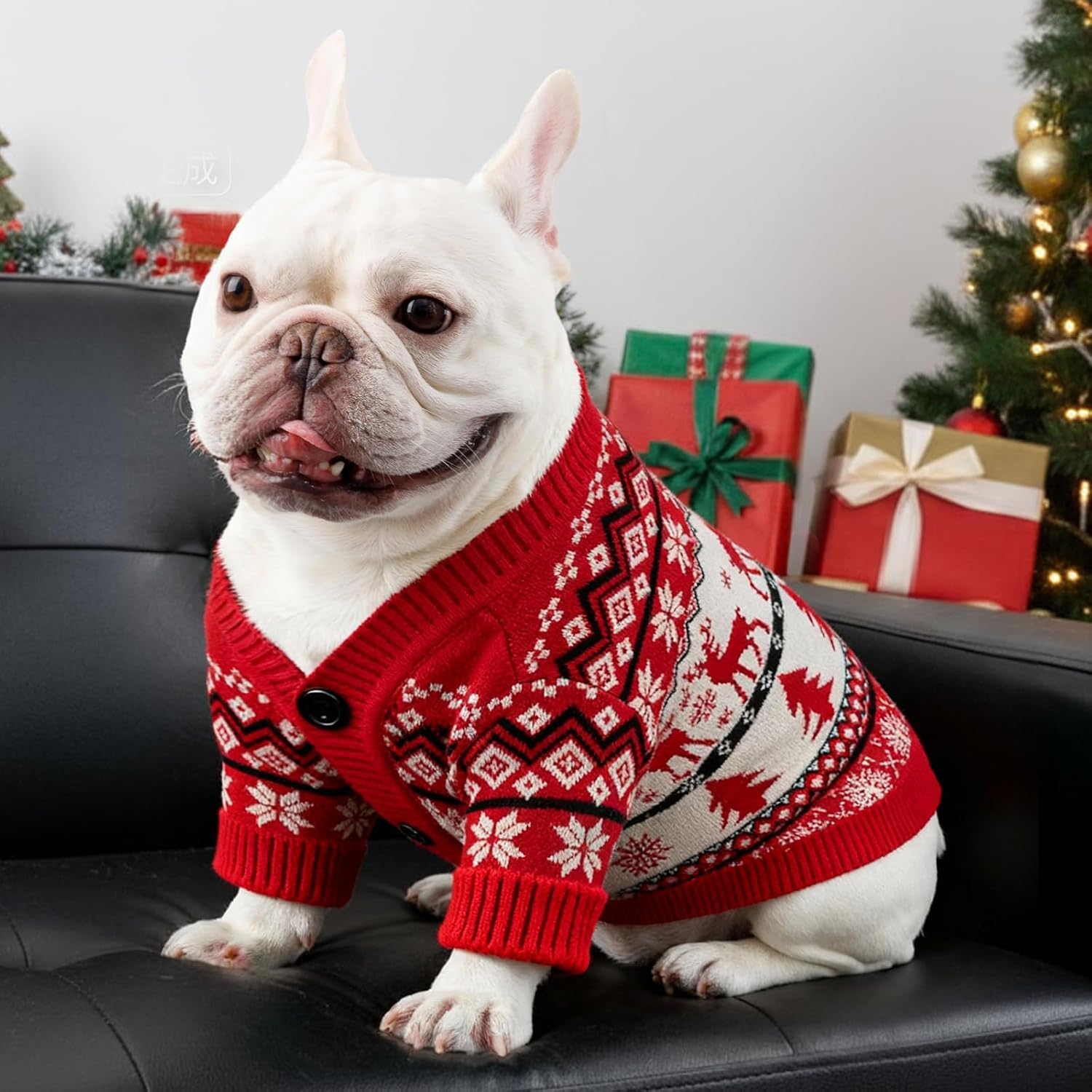 Christmas Dog Knit Sweater - Image 4