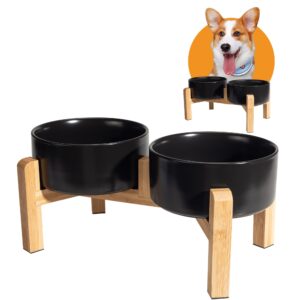 Double Dog Bowl Set