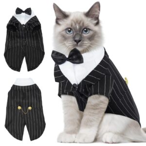 Formal Cat Costume