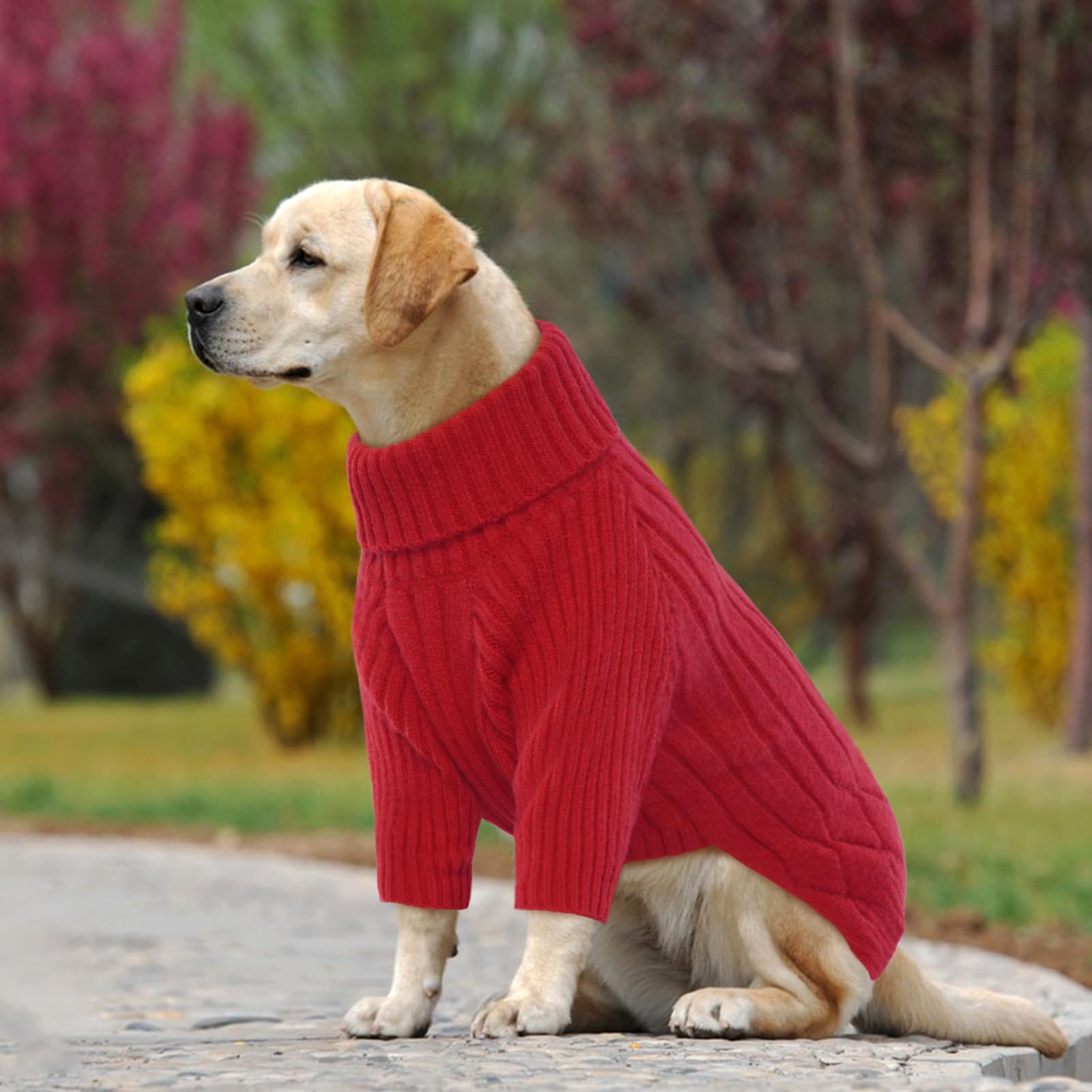 Large Dog Knit Sweater - Image 4