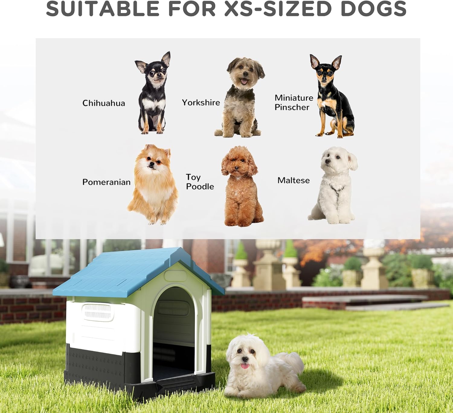 Outdoor Plastic Dog House - Image 7