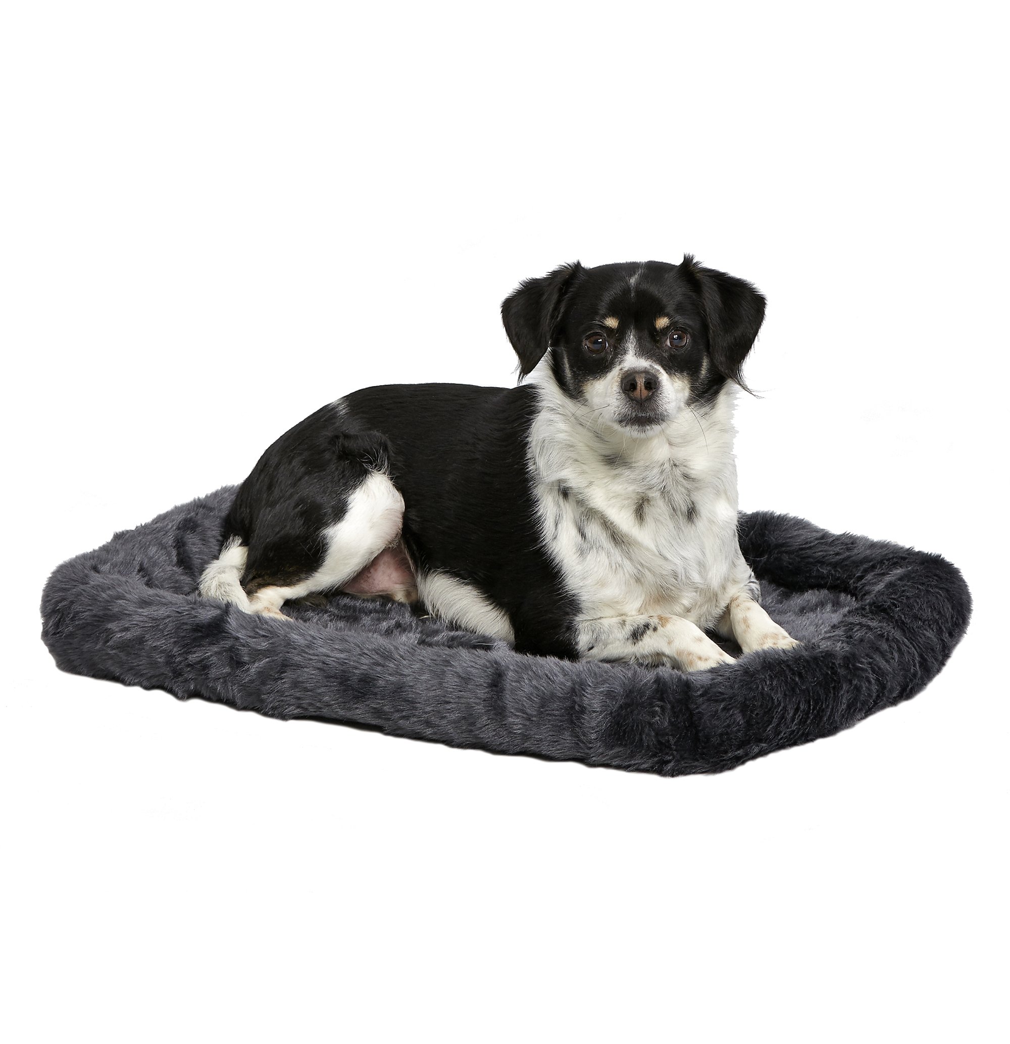 Cozy Small Dog Bed
