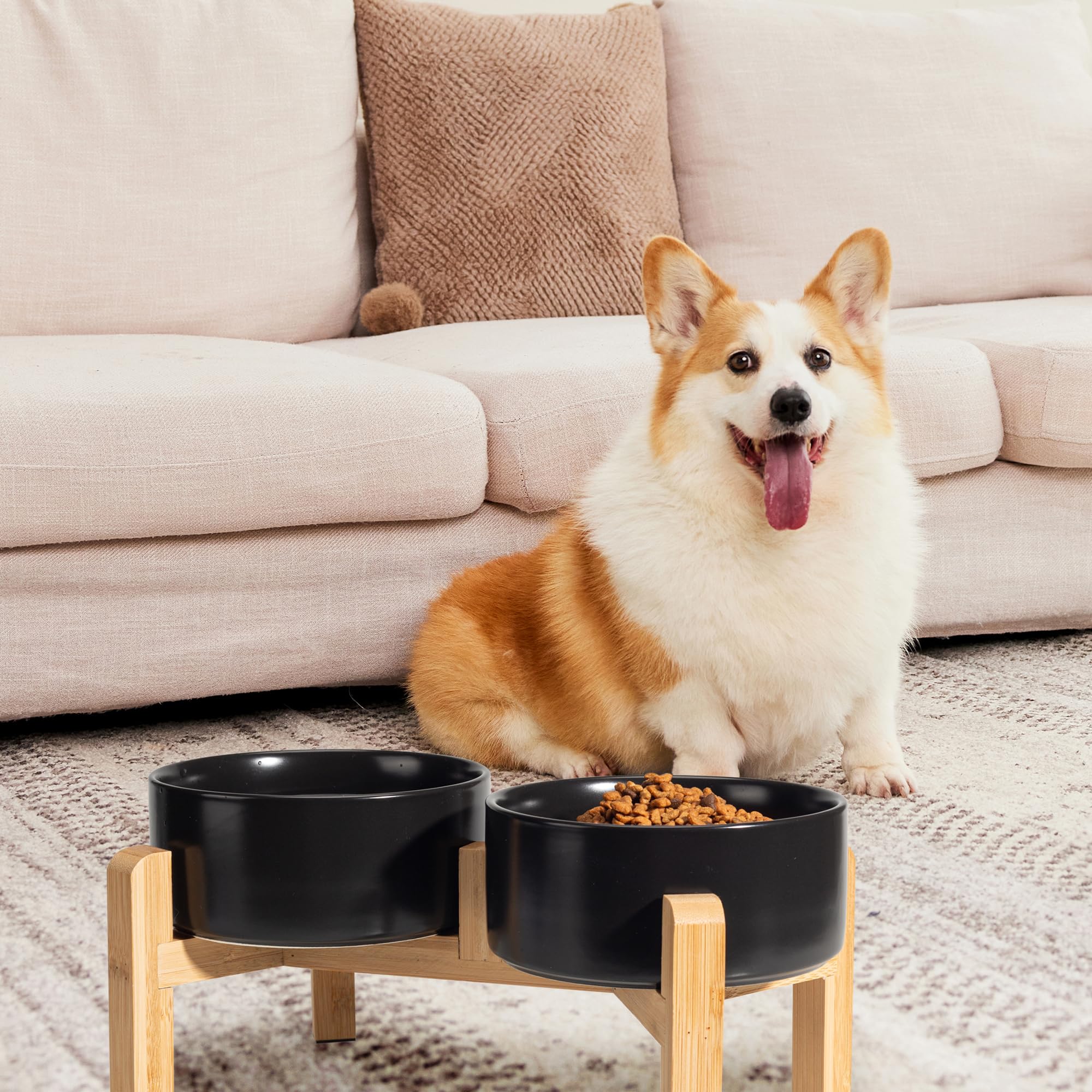 Double Dog Bowl Set - Image 4