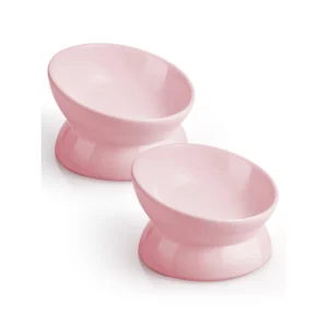 Tilted Ceramic Cat Bowl